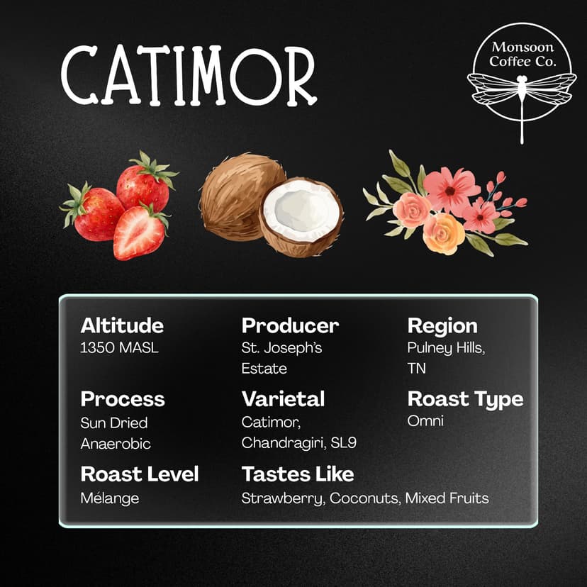 Catimor