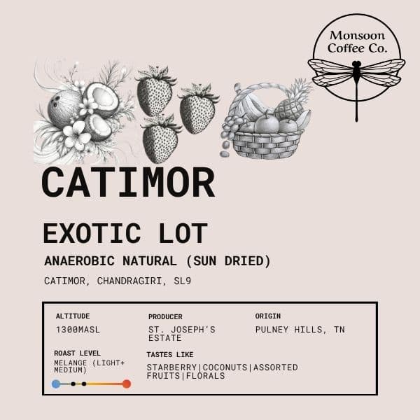 Catimor